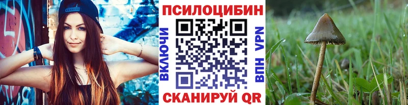 Псилоцибиновые грибы ЛСД кракен онион Новая Усмань